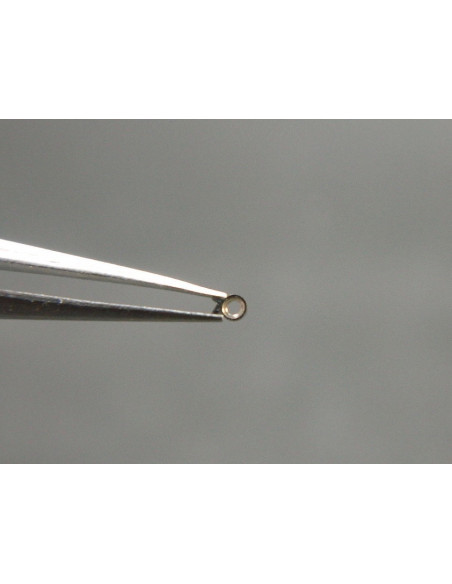 Movado 531-425 cliquet