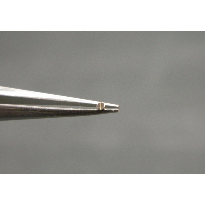 Movado 531-425 cliquet