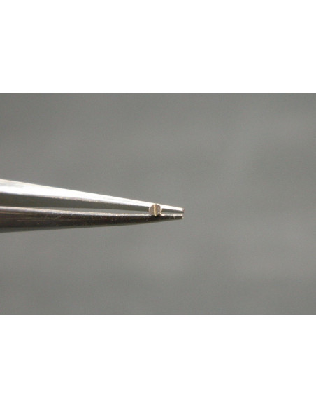 Movado 531-425 cliquet