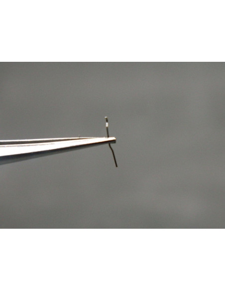 Movado 531- 461 ressort de bascule