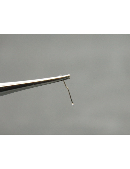 Movado 531- 461 ressort de bascule