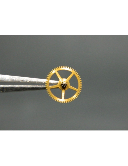 Movado 150-210 petite moyenne