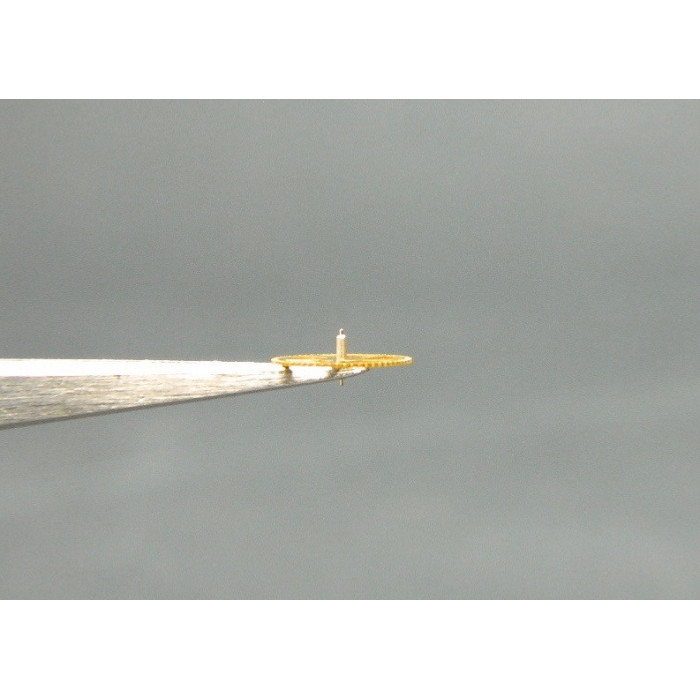 Movado 150-210 petite moyenne