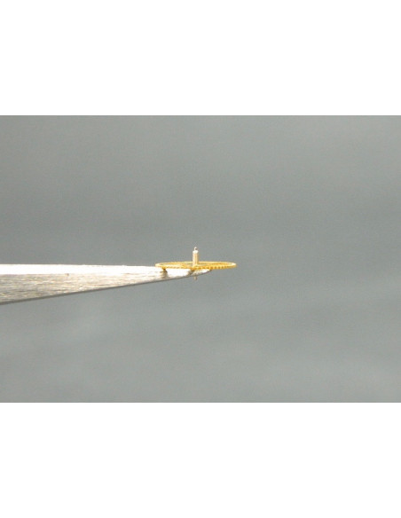 Movado 150-210 petite moyenne