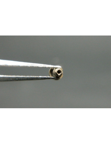 Movado 150-195 arbre de barillet