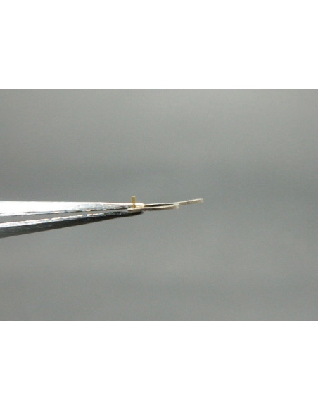 Movado 150-302 raquette pour spiral breguet