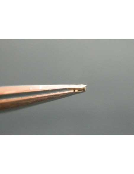 Movado 150-425 cliquet