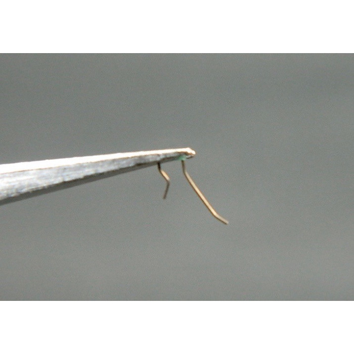 Movado 150-430 ressort de cliquet