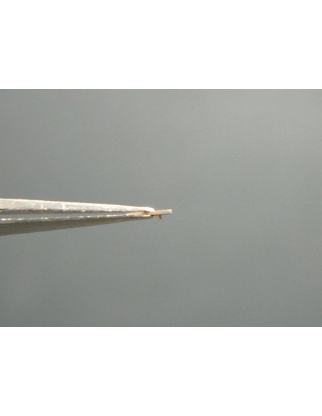 Movado 150-443 tirette