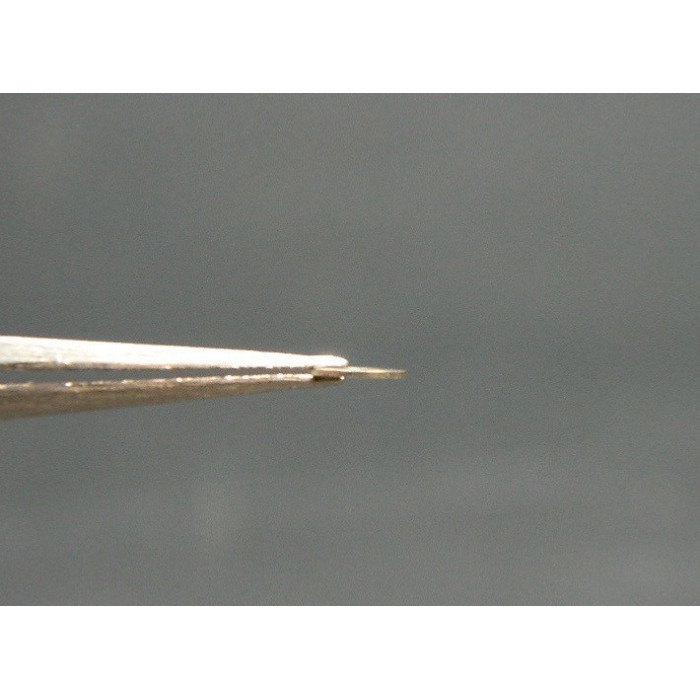 Movado 150-462 pont de minuterie