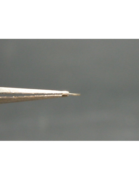 Movado 150-462 pont de minuterie