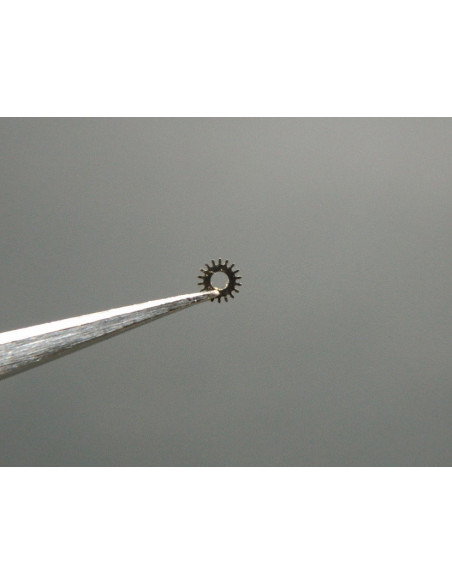 Movado 150-450 renvoi