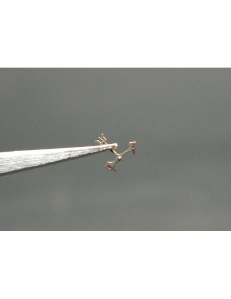 Movado 150-710 ancre garnie