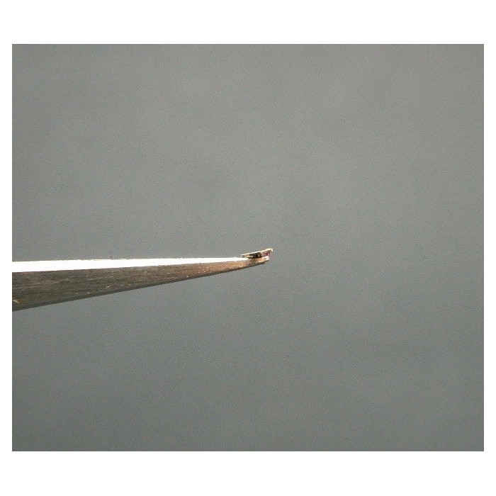 Movado 150-730 plateau