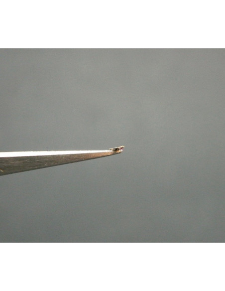 Movado 150-730 plateau