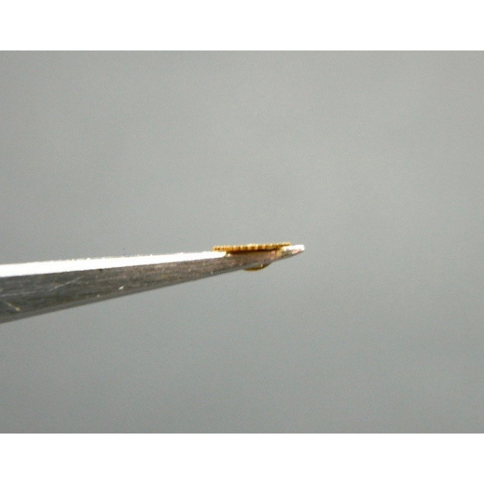 Movado 150-250 roue des heures