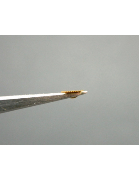 Movado 150-250 roue des heures