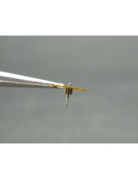 Movado 150-201 grande moyenne