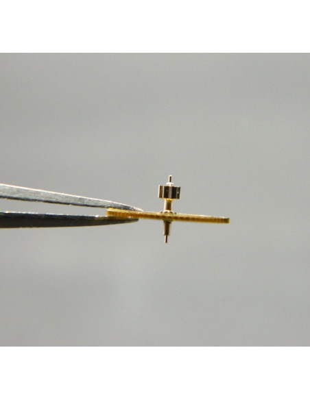 Angelus 215 - 1903 Roue de seconde