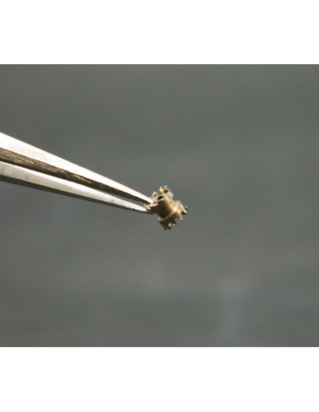 Angelus 215 - 1915 Pinion coulant