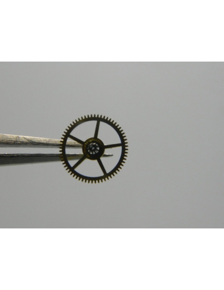 Movado 431-206 grande moyenne