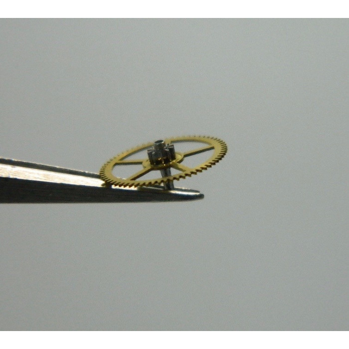 Movado 431-206 grande moyenne