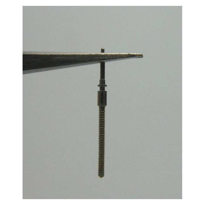 Movado 431-401 tige
