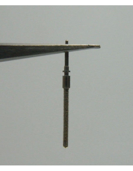 Movado 431-401 tige