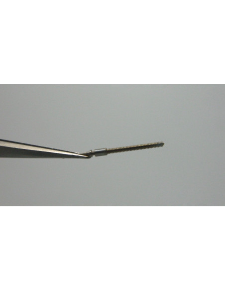 Movado 431-401 tige