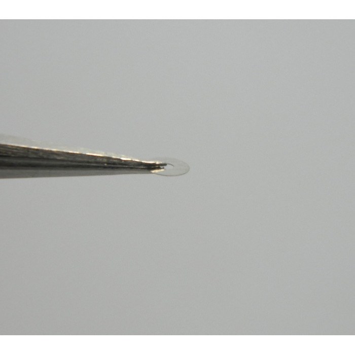 Movado 431-414 assises de couronne