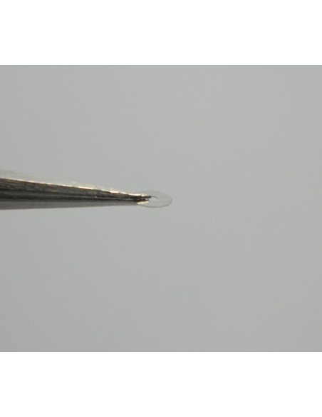 Movado 431-414 assises de couronne