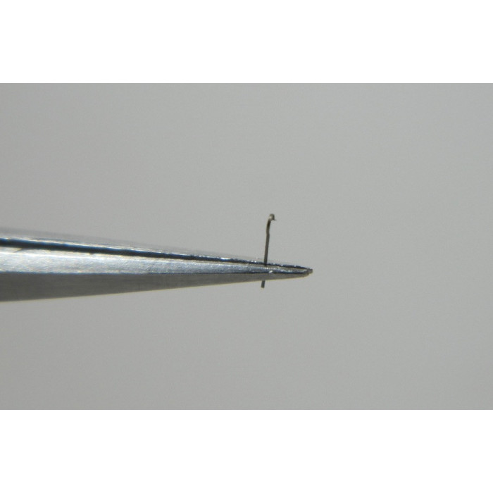 Movado 431-430 ressort de  cliquer