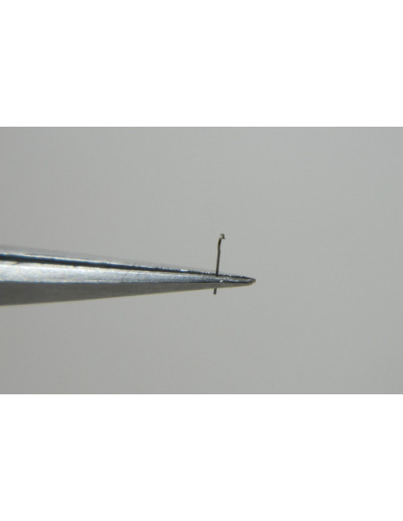 Movado 431-430 ressort de  cliquer