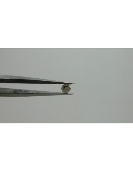 Movado 431-324 incabloc dessus