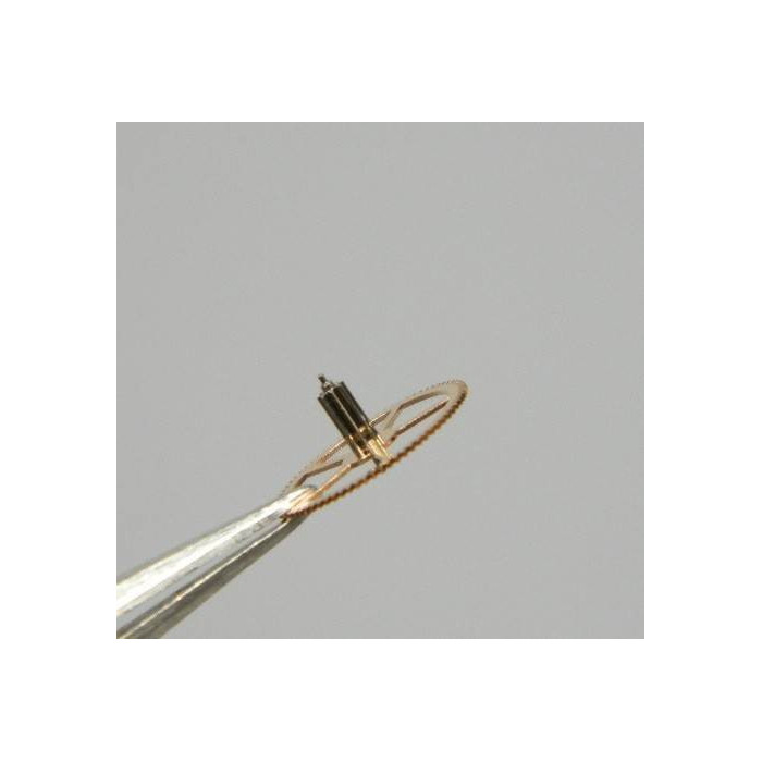 Omega 980-1240 roue moyenne