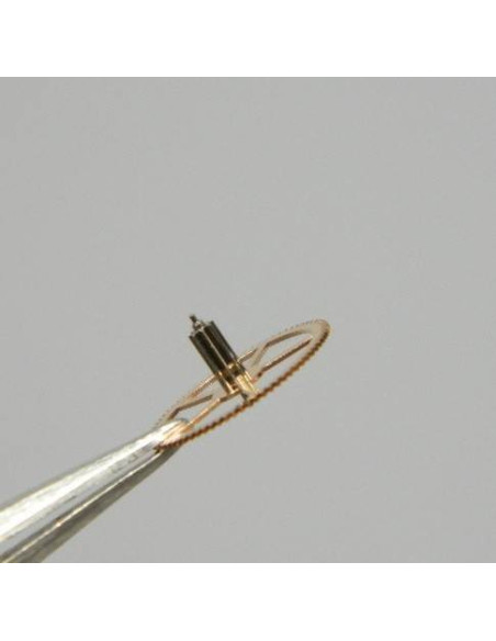 Omega 980-1240 roue moyenne