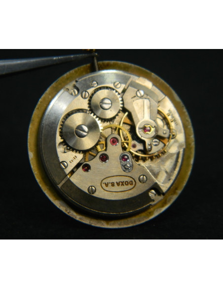 Doxa 2395 mouvement