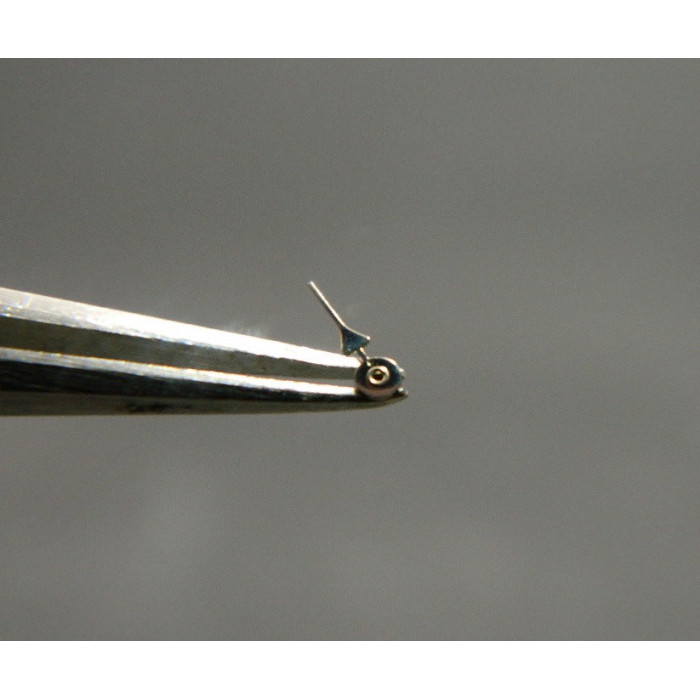 Valjoux 72 Aiguille Compteur d'heure