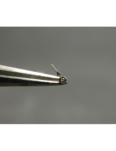 Valjoux 72 Aiguille Compteur d'heure