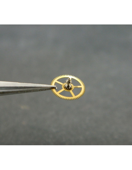 Vacheron Constantin 1003- 200 Roue de centre