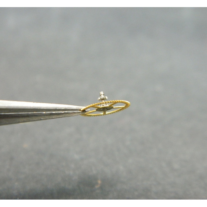 Vacheron Constantin 1003- 200 Roue de centre