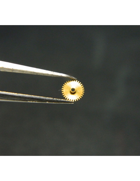 Vacheron Constantin 1003- 250 Roue des heures