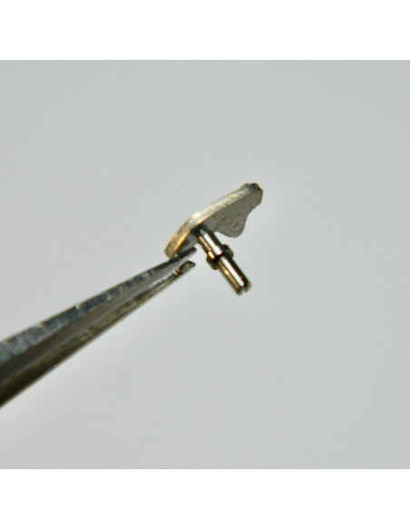 Minerva 13/20 - 2032 Tirette