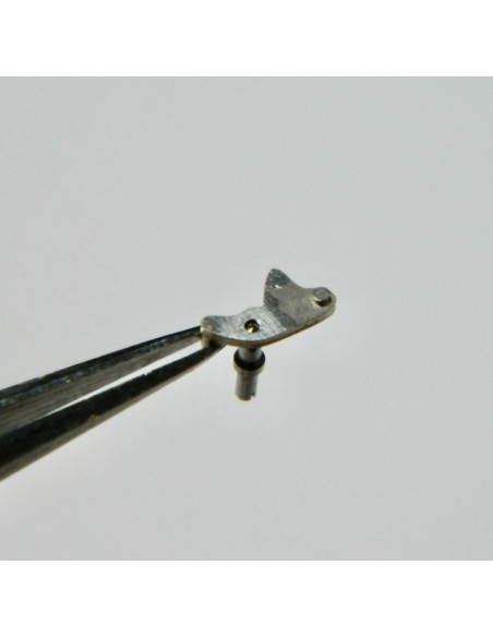 Minerva 13/20 - 2032 Tirette