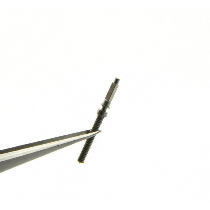 Minerva 13/20 - 2023 Tige