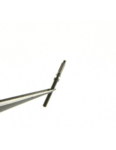 Minerva 13/20 - 2023 Tige