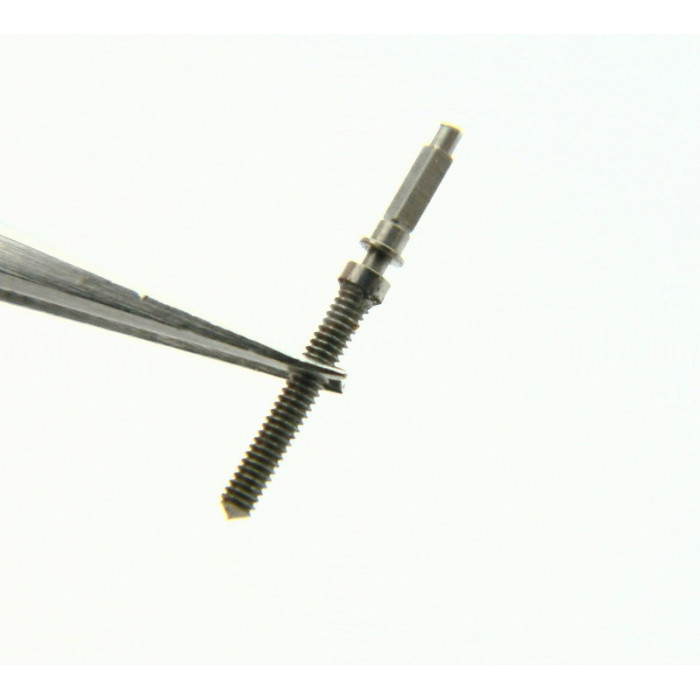 Minerva 13/20 - 2023 Tige