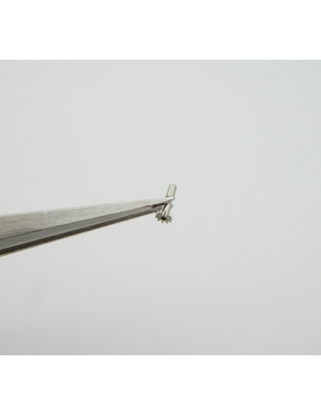 Movado 475-240 chaussée