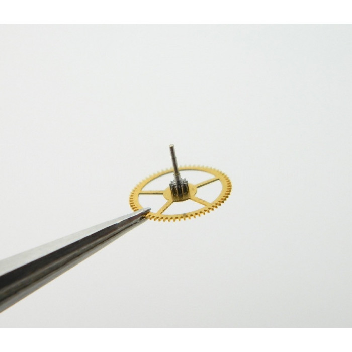 Movado 475-201 Grande moyenne sans chaussée