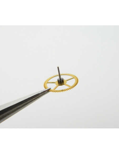 Movado 475-201 Grande moyenne sans chaussée